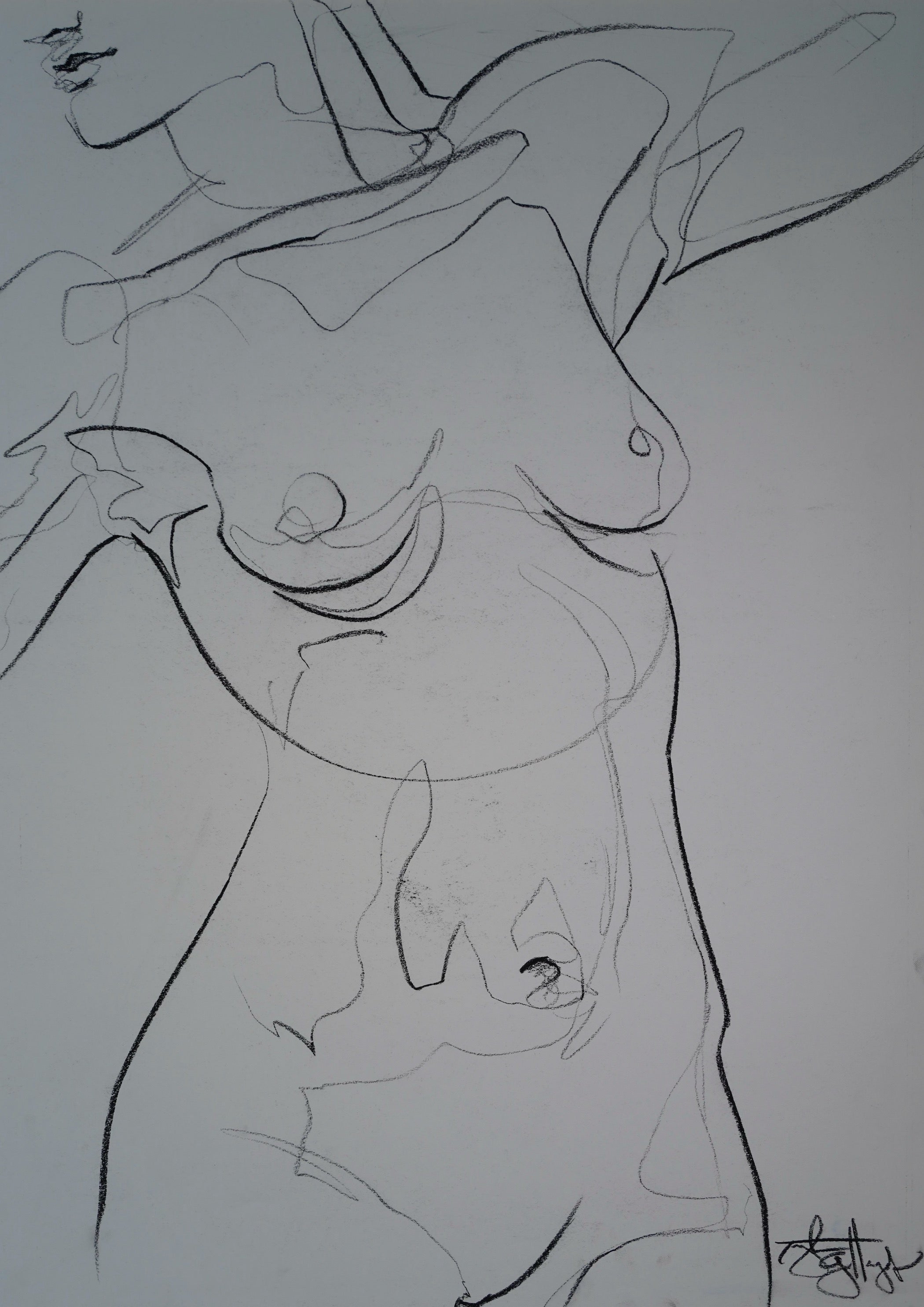 SIREN BY TAYLOR GALLEGOS